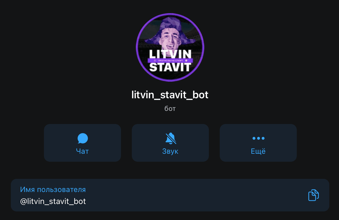 Телеграм канал Литвин ставит(Litvin Stavit)