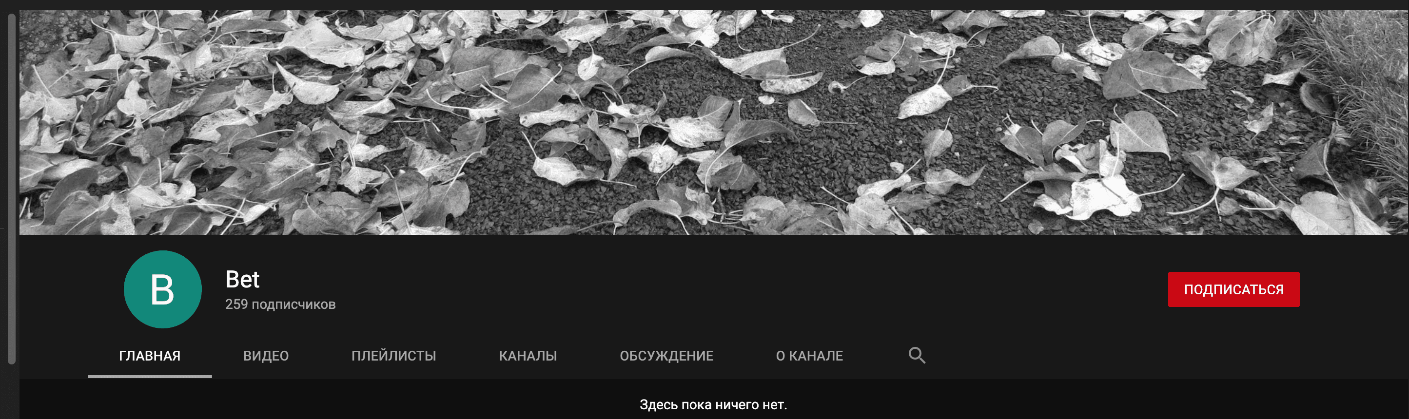 Ютуб канал 13 бет (13bet)