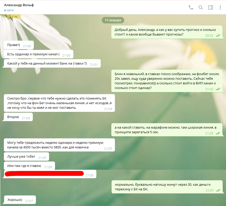 Ценовая политика Телеграм канала Wolf bet