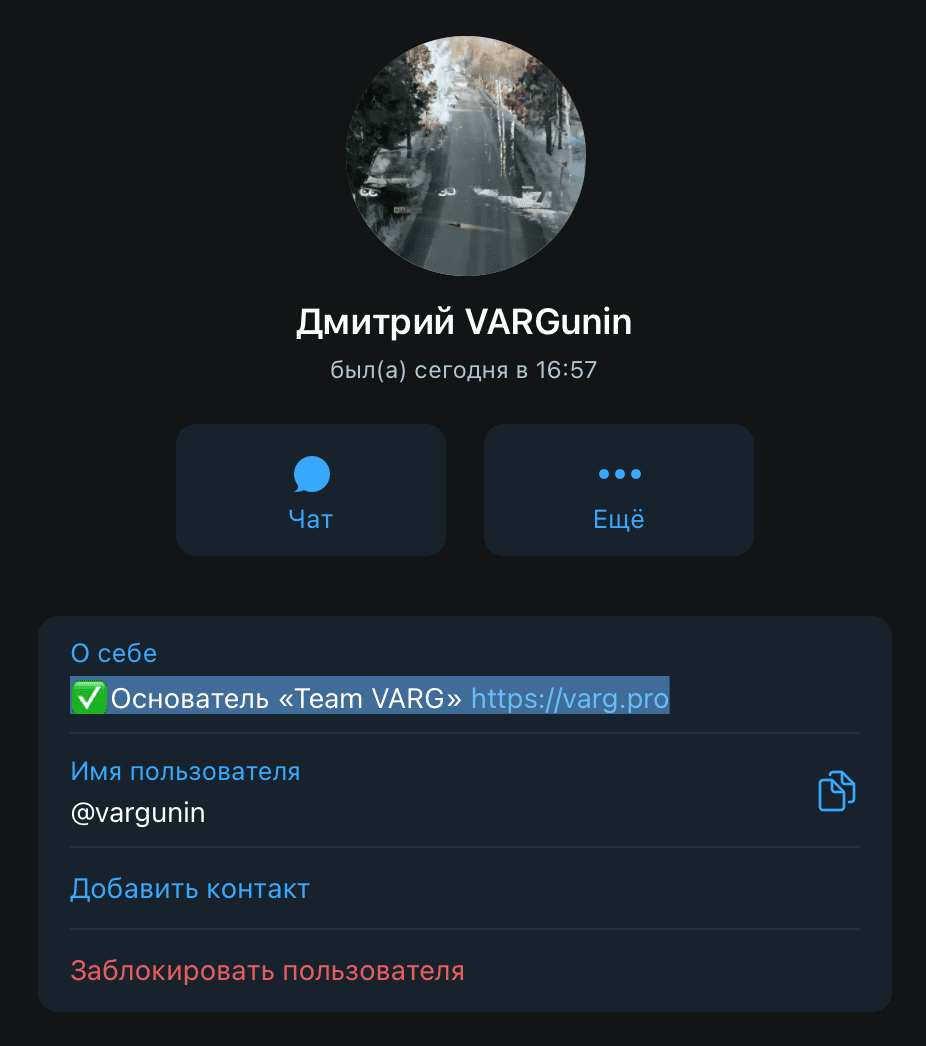 Team “VARG”(Основатель