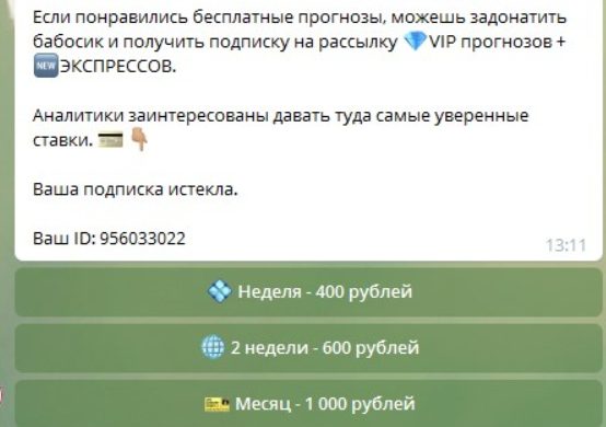 Стоимость услуг от Ставки с Русей в Телеграмме