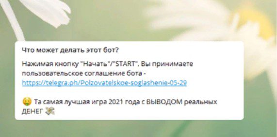 moneta bit бот в телеграмм