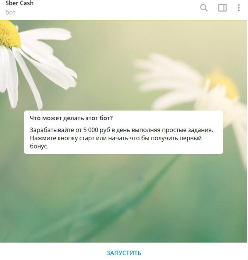 сбер кеш запуск бота