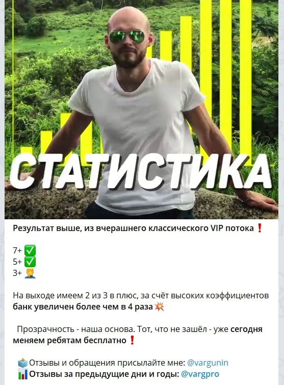 Статистика проходимости прогнозов Varg Pro