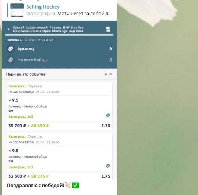 Статистика проходимости прогнозов Selling Hockey