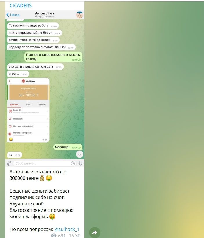Специализация проекта Цикады