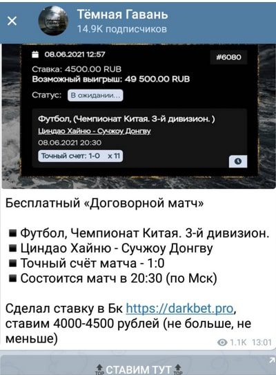 Специализация проекта Темная гавань