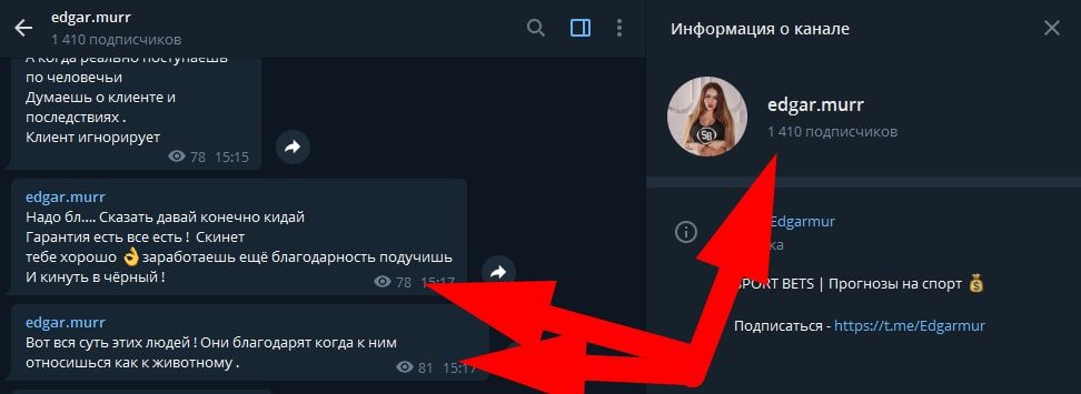 Просмотры и подписчики в Телеграмм каппера Эдгар Мурадян