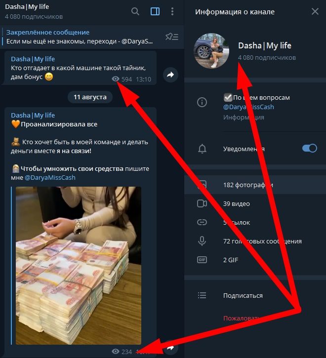 Подписчики и просмотры в Телеграмм Даша Май Лайф