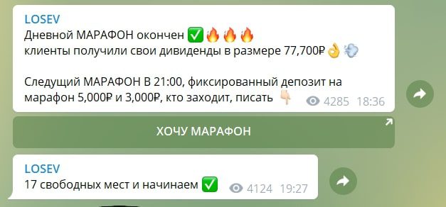 Специализация проекта Единственный честный проект СНГ