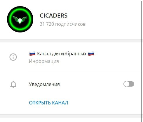 Телеграмм канал CICADERS