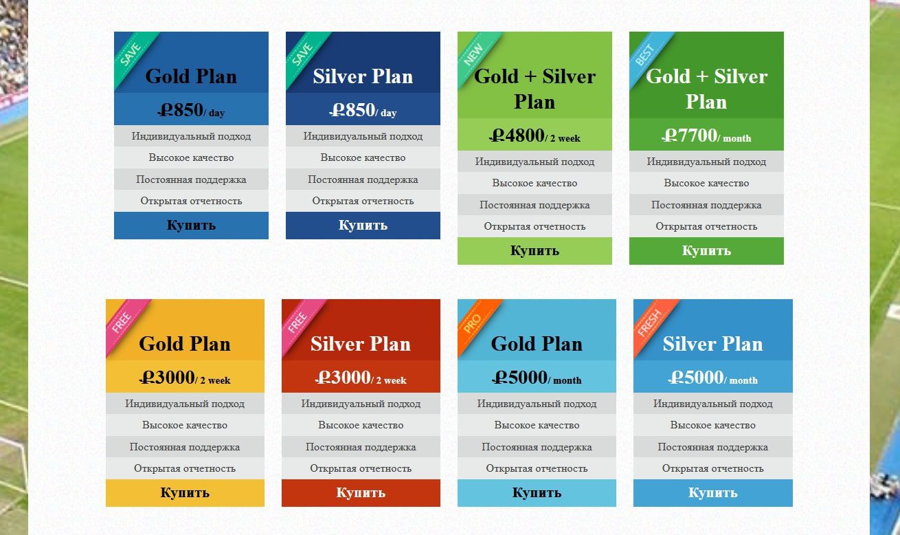 Стоимость услуг проекта Vsporte.ru