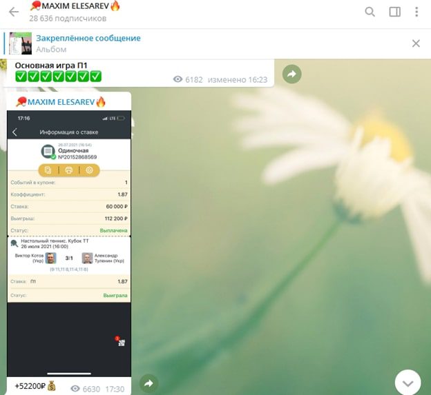 MAXIM ELESAREV (Ефименко) – скриншоты переводов в Телеграмм канале