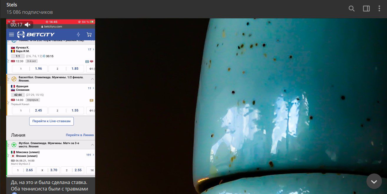 stels каппер телеграмм отчетность