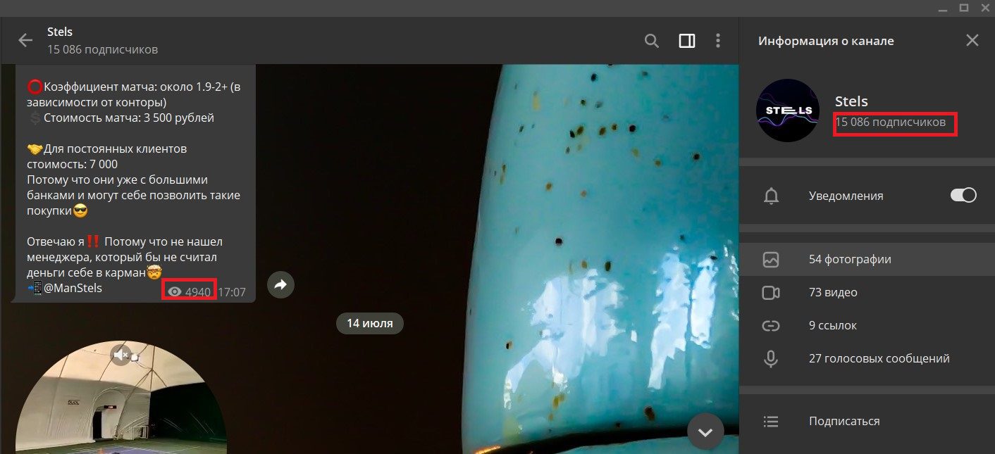 телеграмм stels