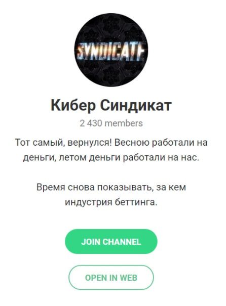 Телеграмм Кибер Синдикат