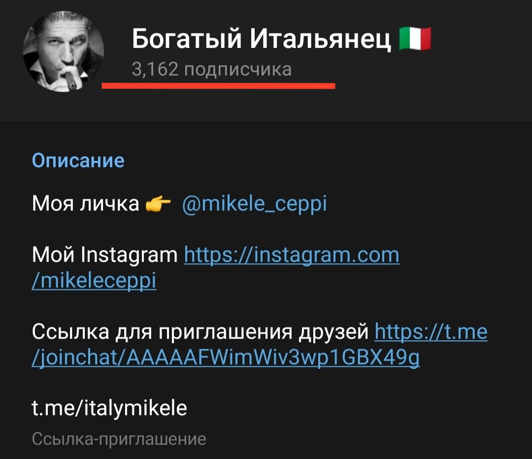 Богатый Итальянец в Телеграмме - подписчики
