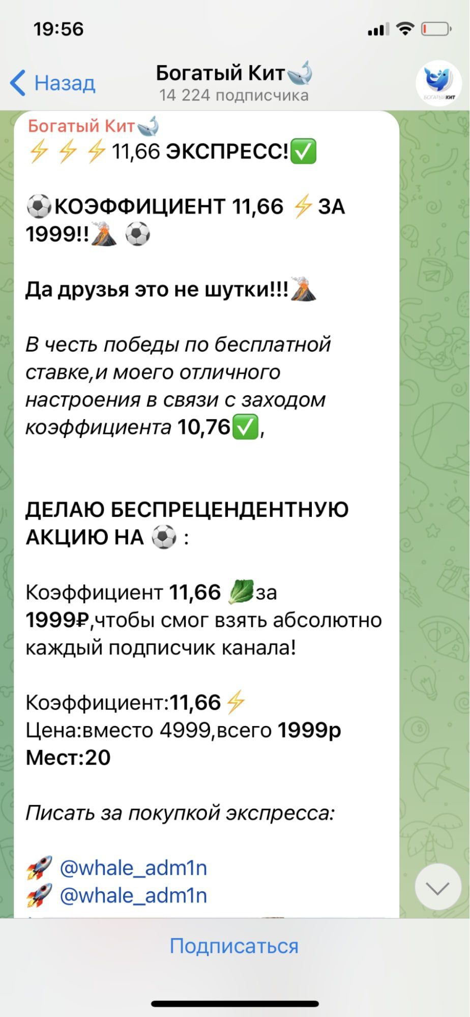 Стоимость услуг каппера Богатый Кит