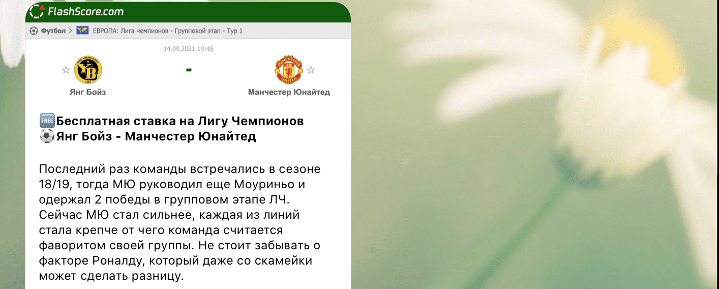 Бесплатный прогноз на канале каппера