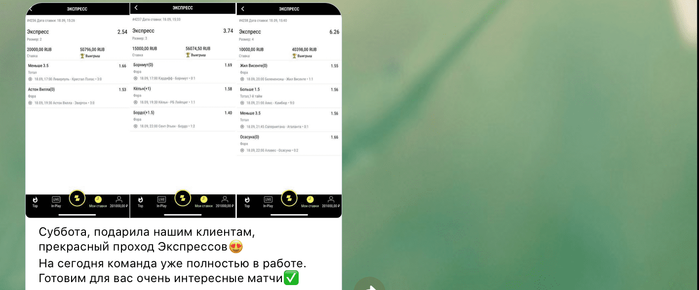 Отчет по прогнозам от каппера Невидимая Сторона