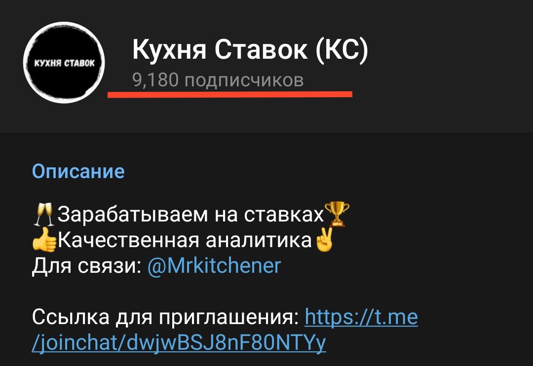 Телеграмм Канал Кухня Ставок - подписчики