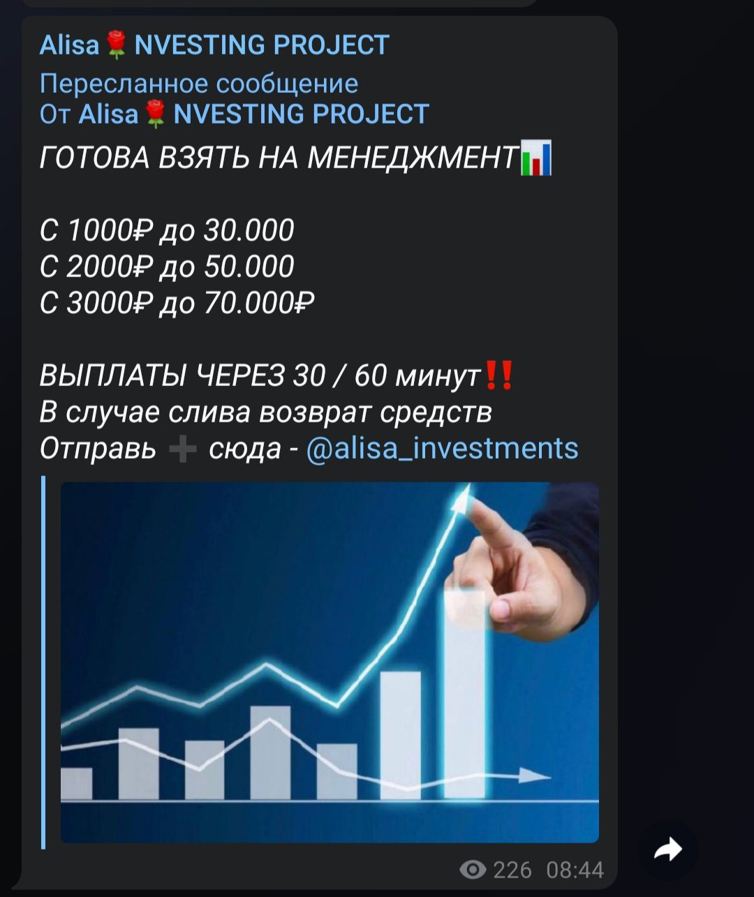 Телеграмм alina investments