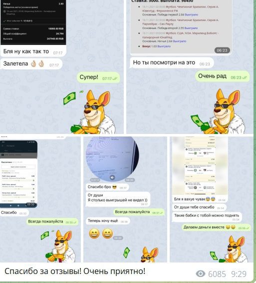 Каппер Борис Костров ставки на спорт – отзывы