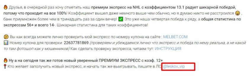 Канал VIPSLIV Телеграмм - отчет