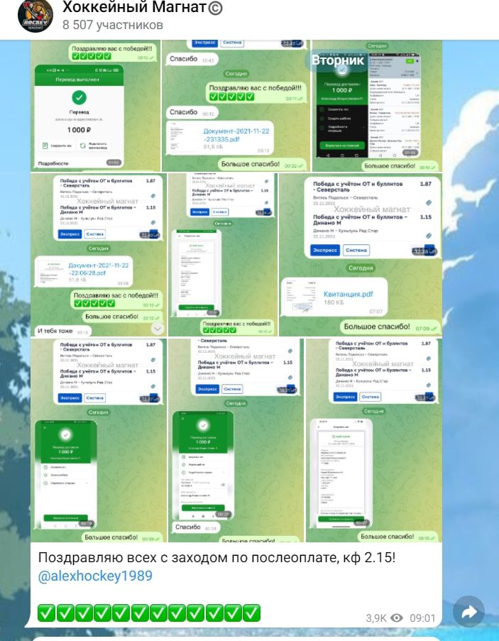 Отчетность у Телеграмм каппера Хоккейный магнат