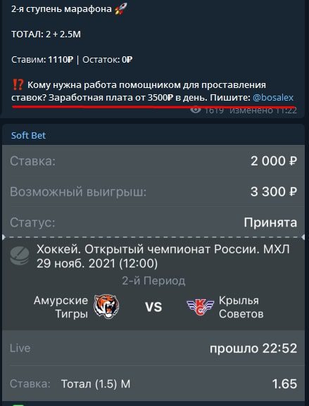 Вакансия от Soft Bet (Александр Михайлов)