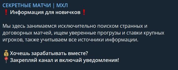 Секретные матчи МХЛ Телеграм - информация для новичков