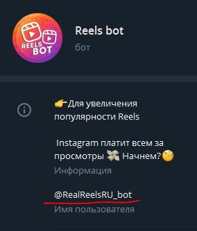 Reels Bot 