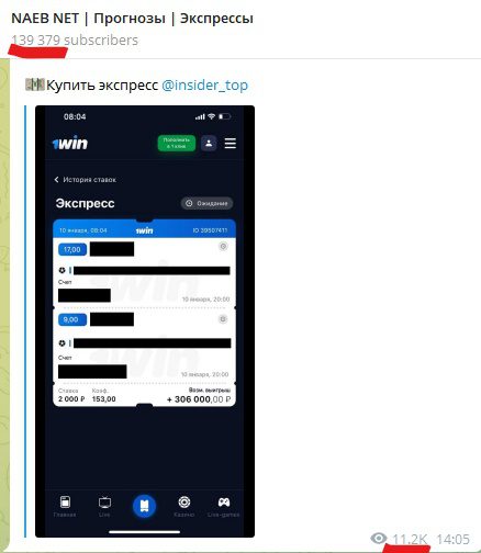 Просмотры и подписчики в Телеграмм Naeb net