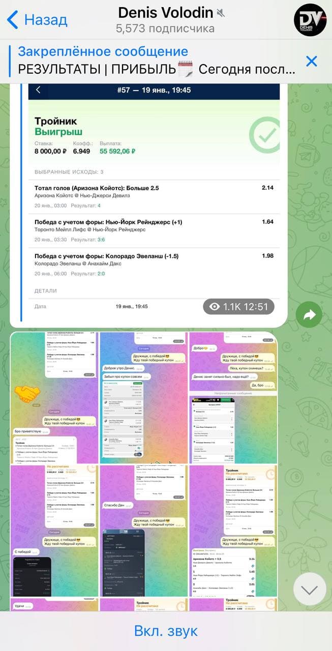 Телеграмм Denis Volodin – отзывы