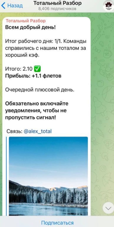 Отчет в Телеграмм Тотальный разбор