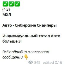 Отчетность в Телеграмм VHLMHL