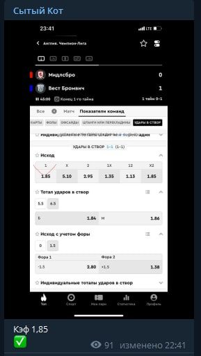 Сытый Кот - прогнозы на спорт
