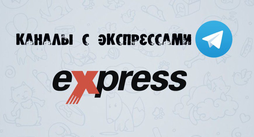 экспрессы на спорт в теграмм