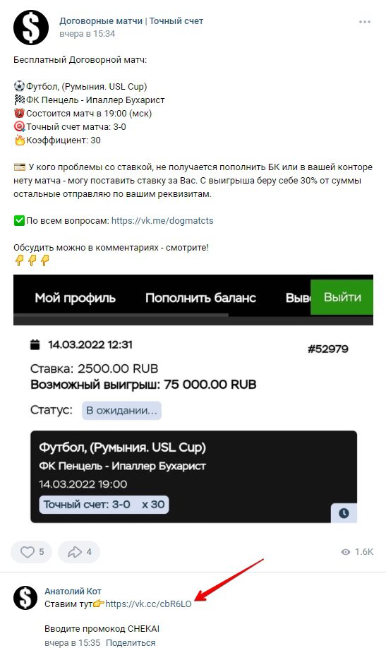 Алексей Баурин Договорные матчи ВК