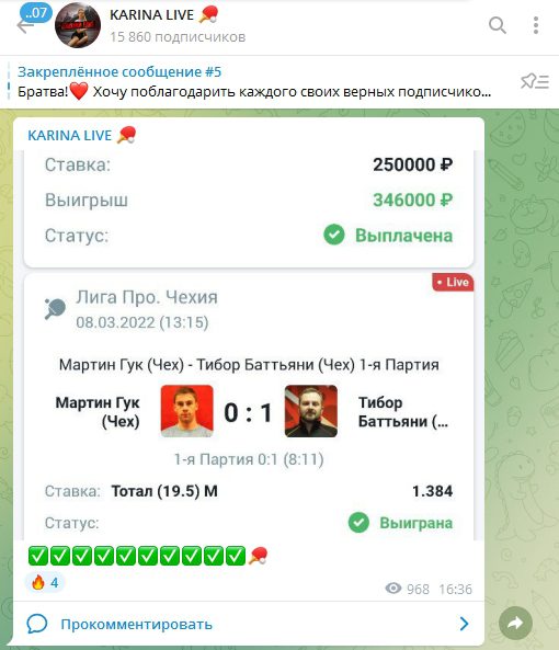 Отчетность Karina Live