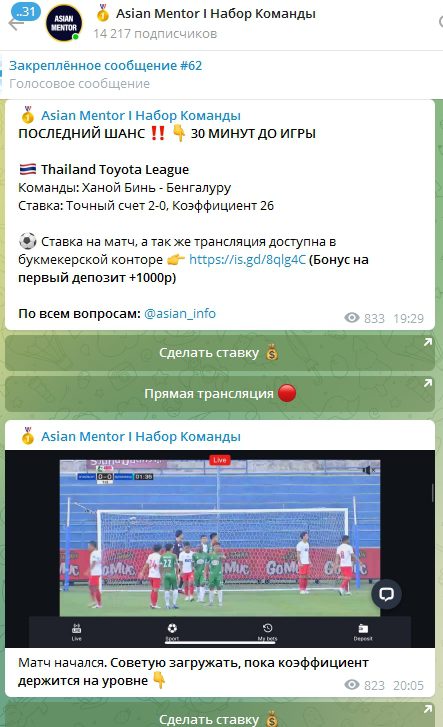 Asian Mentor Telegram