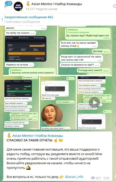 Asian Mentor - отзывы