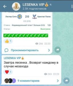 LESENKA VIP - статистика