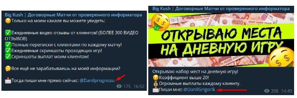 Telegram Big Kush (@dogovordanil)