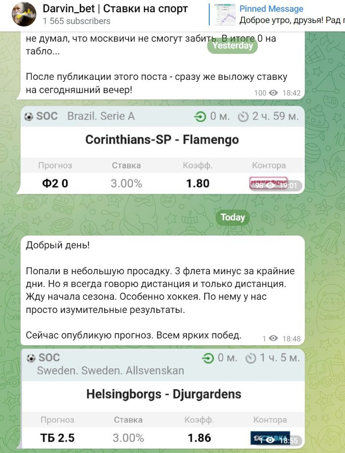 Darvin bet - прогнозы