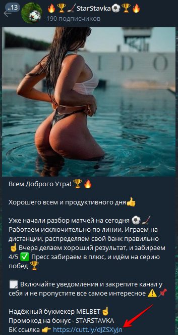 StarStavka в Телеграмме