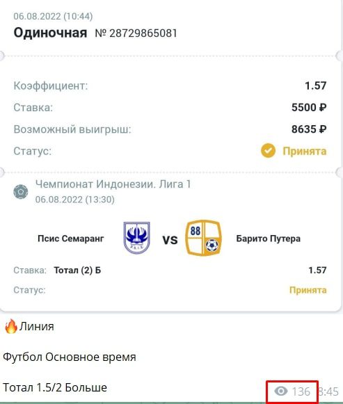 Просмотры Телеграмм ТМТ