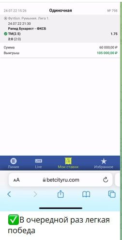 Статистика на проекте «Жизнь Робина»