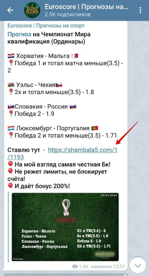 EUROSCORE в телеграме