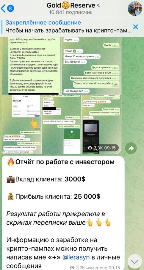 Отчет по работе с инвестором у Gold Reserve Валерия